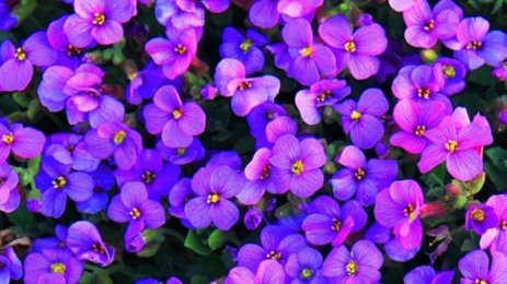 Schöpfungsspiritualität � Mylene2401 (pixabay) Schöpfungsspiritualität � Mylene2401 (pixabay)