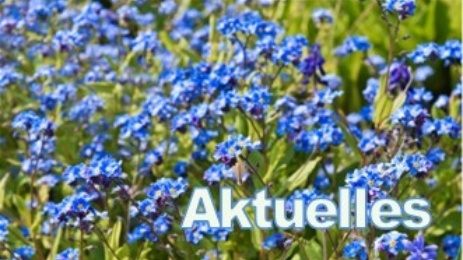 Aktuelles Aktuelles
